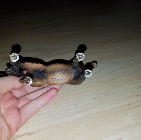 Choco - Picture 4 of 4